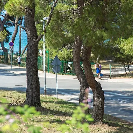 Apartmán Blu *