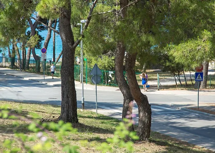 아파트 Apartment Blu *